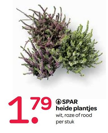 Aanbiedingen Spar heide plantjes - Spar - Geldig van 21/09/2017 tot 04/10/2017 bij Spar