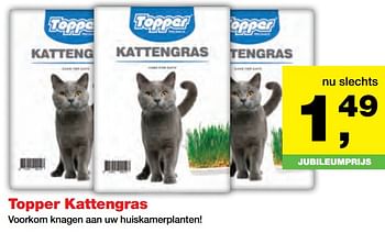 Aanbiedingen Topper kattengras voorkom knagen aan uw huiskamerplanten - Topper - Geldig van 25/09/2017 tot 08/10/2017 bij Jumper