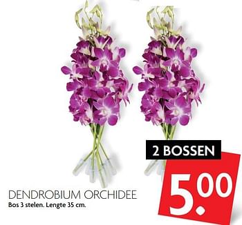 Aanbiedingen Dendrobium orchidee - Huismerk - Deka Markt - Geldig van 01/10/2017 tot 07/10/2017 bij Deka Markt