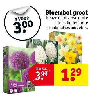 Aanbiedingen Bloembol groot - Huismerk - Kruidvat - Geldig van 03/10/2017 tot 08/10/2017 bij Kruidvat