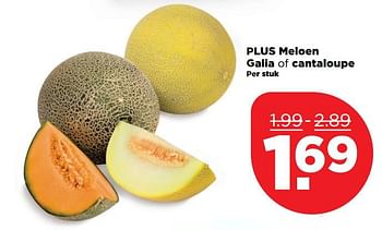 Aanbiedingen Plus meloen galia of cantaloupe - Huismerk - Plus - Geldig van 15/10/2017 tot 21/10/2017 bij Plus