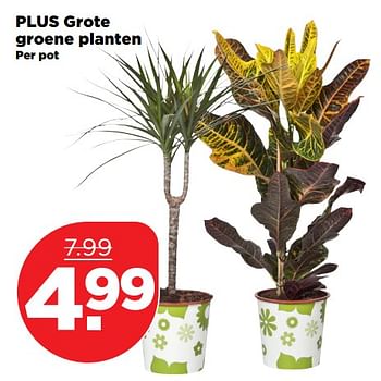 Aanbiedingen Plus grote groene planten - Huismerk - Plus - Geldig van 22/10/2017 tot 28/10/2017 bij Plus