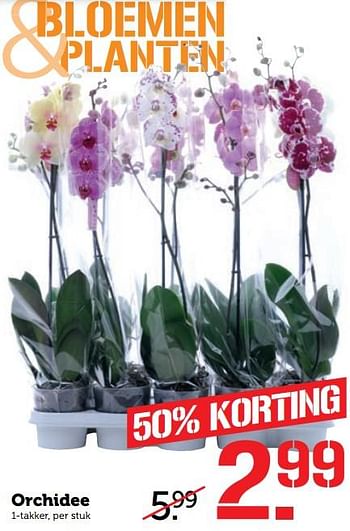 Aanbiedingen Orchidee - Huismerk - Coop - Geldig van 23/10/2017 tot 29/10/2017 bij Coop