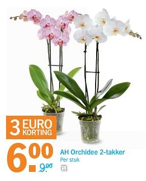 Aanbiedingen Ah orchidee - Huismerk - Albert Heijn - Geldig van 23/10/2017 tot 29/10/2017 bij Albert Heijn