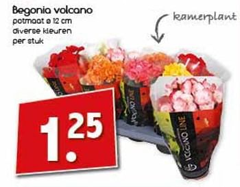 Aanbiedingen Begonia volcano - Huismerk - Agrimarkt - Geldig van 23/10/2017 tot 28/10/2017 bij Agrimarkt