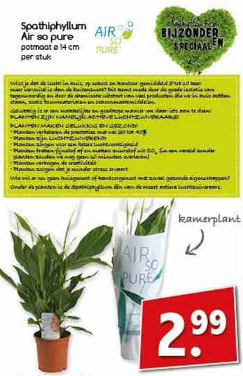 Aanbiedingen Spathiphyllum air so pure kamerplant - Huismerk - Agrimarkt - Geldig van 23/10/2017 tot 28/10/2017 bij Agrimarkt