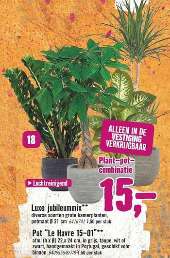 Aanbiedingen Plant-pot- combinatie - Huismerk Hornbach - Geldig van 23/10/2017 tot 29/10/2017 bij Hornbach
