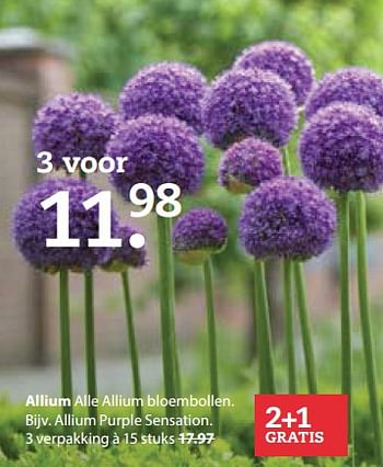 Aanbiedingen Allium - Huismerk- Boerenbond - Geldig van 23/10/2017 tot 05/11/2017 bij Boerenbond