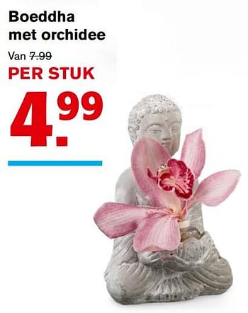 Aanbiedingen Boeddha met orchidee - Huismerk - Hoogvliet - Geldig van 01/11/2017 tot 07/11/2017 bij Hoogvliet