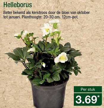 Aanbiedingen Helleborus - Huismerk - Aldi - Geldig van 05/11/2017 tot 12/11/2017 bij Aldi