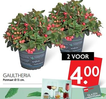 Aanbiedingen Gaultheria - Huismerk - Deka Markt - Geldig van 05/11/2017 tot 11/11/2017 bij Deka Markt