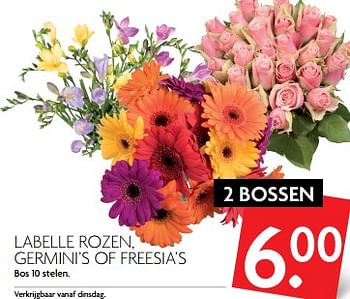 Aanbiedingen Labelle rozen, germini`s of freesia`s - Huismerk - Deka Markt - Geldig van 05/11/2017 tot 11/11/2017 bij Deka Markt