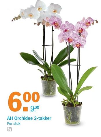 Aanbiedingen Ah orchidee 2-takker - Huismerk - Albert Heijn - Geldig van 06/11/2017 tot 12/11/2017 bij Albert Heijn