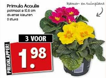 Aanbiedingen Primula acaulis - Huismerk - Agrimarkt - Geldig van 06/11/2017 tot 11/11/2017 bij Agrimarkt