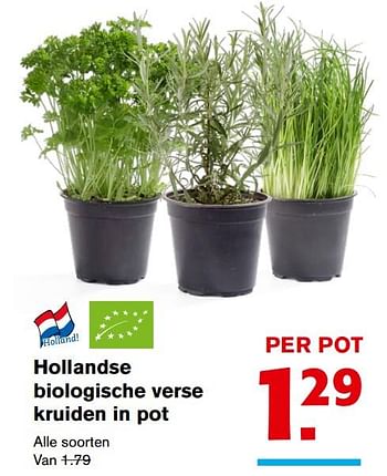 Aanbiedingen Hollandse biologische verse kruiden in pot - Huismerk - Hoogvliet - Geldig van 08/11/2017 tot 14/11/2017 bij Hoogvliet