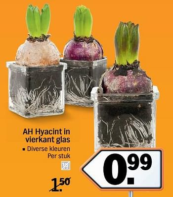 Aanbiedingen Ah hyacint in vierkant glas - Huismerk - Albert Heijn - Geldig van 13/11/2017 tot 19/11/2017 bij Albert Heijn