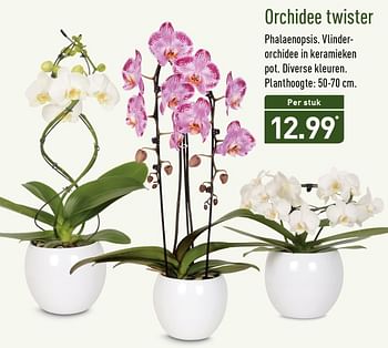 Aanbiedingen Orchidee twister - Huismerk - Aldi - Geldig van 13/11/2017 tot 19/11/2017 bij Aldi