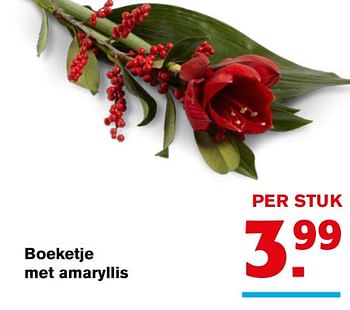 Aanbiedingen Boeketje met amaryllis - Huismerk - Hoogvliet - Geldig van 22/11/2017 tot 28/11/2017 bij Hoogvliet