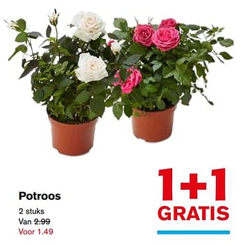 Aanbiedingen Potroos - Huismerk - Hoogvliet - Geldig van 22/11/2017 tot 28/11/2017 bij Hoogvliet