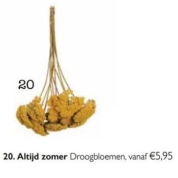 Aanbiedingen Altijd zomer droogbloemen - Huismerk - Dille &amp; Kamille - Geldig van 01/11/2017 tot 31/03/2018 bij Dille & Kamille