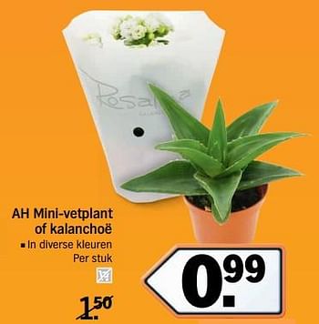 Aanbiedingen Mini-vetplant of kalanchoë - Huismerk - Albert Heijn - Geldig van 20/11/2017 tot 26/11/2017 bij Albert Heijn