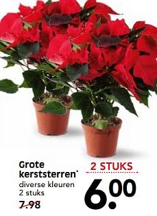 Aanbiedingen Grote kerststerren - Huismerk - Em-té - Geldig van 26/11/2017 tot 02/12/2017 bij Em-té