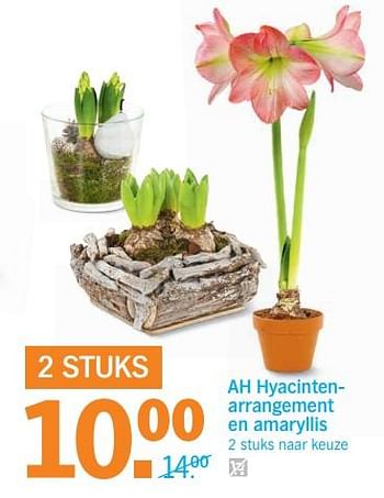 Aanbiedingen Ah hyacintenarrangement en amaryllis - Huismerk - Albert Heijn - Geldig van 27/11/2017 tot 03/12/2017 bij Albert Heijn
