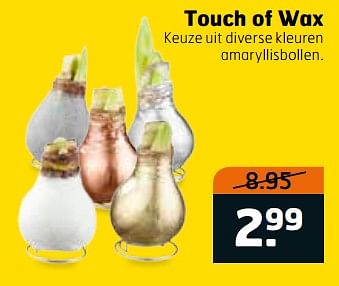 Aanbiedingen Touch of wax amaryllisbollen - Huismerk - Trekpleister - Geldig van 28/11/2017 tot 03/12/2017 bij Trekpleister