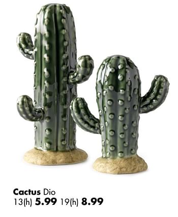 Aanbiedingen Cactus dio - Huismerk - Multi Bazar - Geldig van 02/04/2018 tot 06/05/2018 bij Multi Bazar