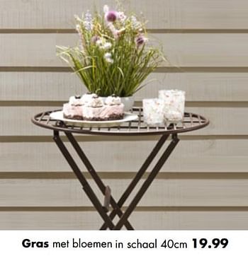 Aanbiedingen Gras met bloemen in schaal - Huismerk - Multi Bazar - Geldig van 01/04/2019 tot 22/04/2019 bij Multi Bazar