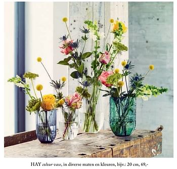 Aanbiedingen Colour vase - HAY - Geldig van 26/02/2019 tot 01/07/2019 bij De Bijenkorf