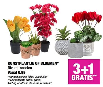 Aanbiedingen Kunstplantje of bloemen - Huismerk - Big Bazar - Geldig van 06/05/2019 tot 19/05/2019 bij Big Bazar
