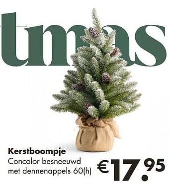Aanbiedingen Kerstboompje concolor besneeuwd met dennenappels - Huismerk - Europoint - Geldig van 18/11/2019 tot 20/12/2019 bij Europoint