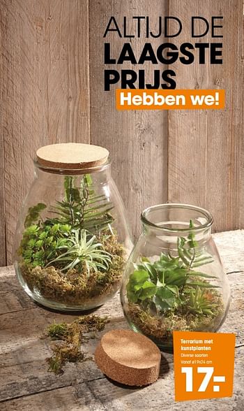 Aanbiedingen Terrarium met kunstplanten - Huismerk - Kwantum - Geldig van 10/02/2020 tot 16/02/2020 bij Kwantum