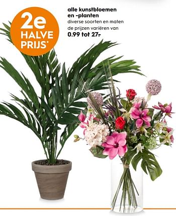 Aanbiedingen Alle kunstbloemen en -planten - Huismerk - Blokker - Geldig van 16/03/2020 tot 29/03/2020 bij Blokker