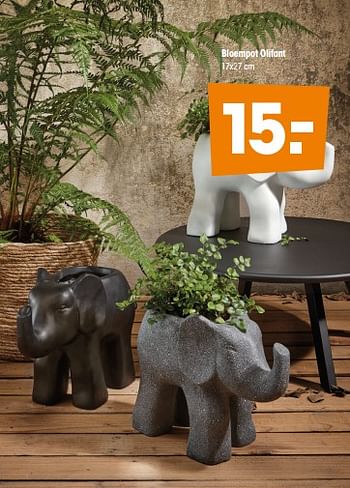 Aanbiedingen Bloempot olifant - Huismerk - Kwantum - Geldig van 13/04/2020 tot 19/04/2020 bij Kwantum