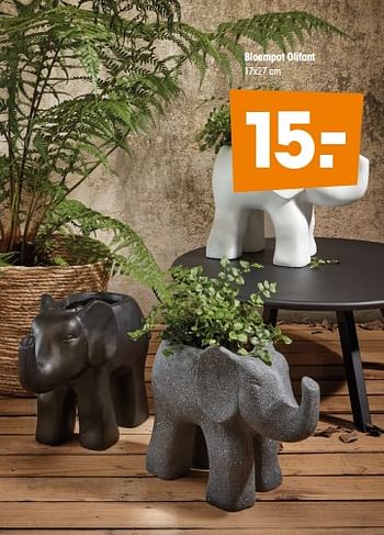Aanbiedingen Bloempot olifant - Huismerk - Kwantum - Geldig van 20/04/2020 tot 26/04/2020 bij Kwantum