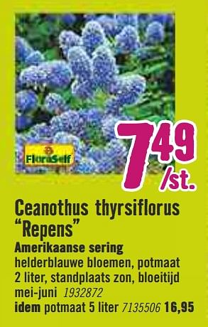 Aanbiedingen Ceanothus thyrsiflorus repens amerikaanse sering - FloraSelf - Geldig van 30/03/2020 tot 26/04/2020 bij Hornbach