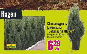 Aanbiedingen Chamaecyparis lawsaniana columnaris glauca - FloraSelf - Geldig van 30/03/2020 tot 26/04/2020 bij Hornbach