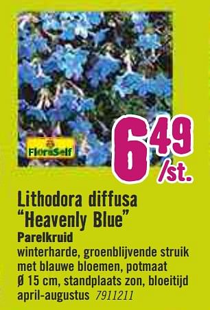 Aanbiedingen Lithodora diffusa heavenly blue parelkruid - Huismerk Hornbach - Geldig van 30/03/2020 tot 26/04/2020 bij Hornbach