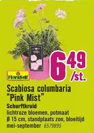 Aanbiedingen Scabiosa columbaria pink mist schurftkruid - Huismerk Hornbach - Geldig van 30/03/2020 tot 26/04/2020 bij Hornbach