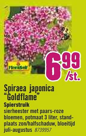 Aanbiedingen Spiraea japonica goldflame spierstruik - FloraSelf - Geldig van 30/03/2020 tot 26/04/2020 bij Hornbach