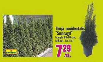 Aanbiedingen Thuja occidentalis smaragd - FloraSelf - Geldig van 30/03/2020 tot 26/04/2020 bij Hornbach