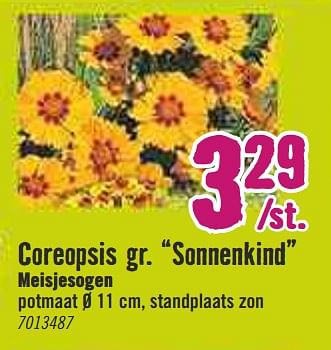 Aanbiedingen Coreopsis gr. sonnenkind meisjesogen - Huismerk Hornbach - Geldig van 30/03/2020 tot 26/04/2020 bij Hornbach