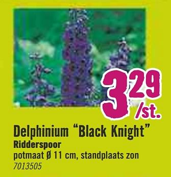 Aanbiedingen Delphinium black knight ridderspoor - Huismerk Hornbach - Geldig van 30/03/2020 tot 26/04/2020 bij Hornbach