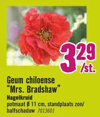 Aanbiedingen Geum chiloense mrs. bradshaw nagelkruid - Huismerk Hornbach - Geldig van 30/03/2020 tot 26/04/2020 bij Hornbach