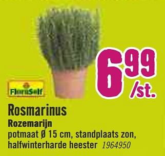Aanbiedingen Rosmarinus rozemarijn - FloraSelf - Geldig van 30/03/2020 tot 26/04/2020 bij Hornbach