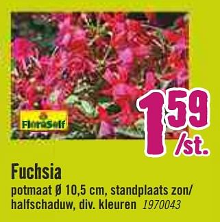 Aanbiedingen Fuchsia - FloraSelf - Geldig van 30/03/2020 tot 26/04/2020 bij Hornbach