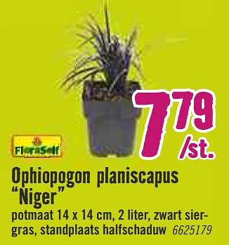 Aanbiedingen Ophiopogon planiscapus niger - FloraSelf - Geldig van 30/03/2020 tot 26/04/2020 bij Hornbach