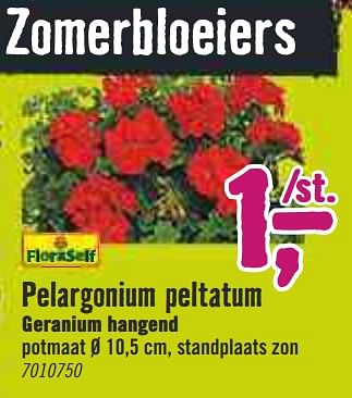 Aanbiedingen Pelargonium peltatum geranium hangend - FloraSelf - Geldig van 30/03/2020 tot 26/04/2020 bij Hornbach